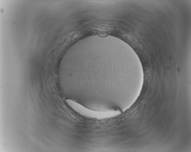 X0000058131009200510212040