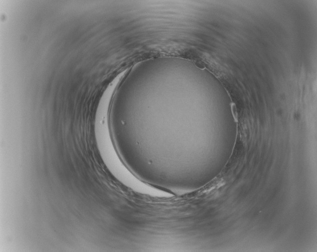 X0000058131010200510212040