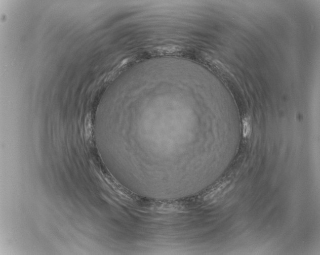 X0000058131011200510212040