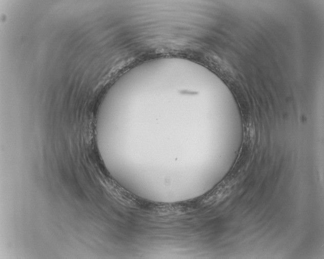 X0000058131012200510212040