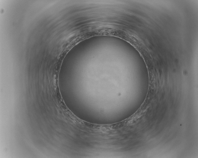 X0000058131013200510212040