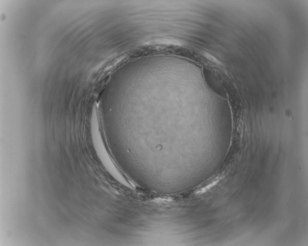 X0000058131014200510212040