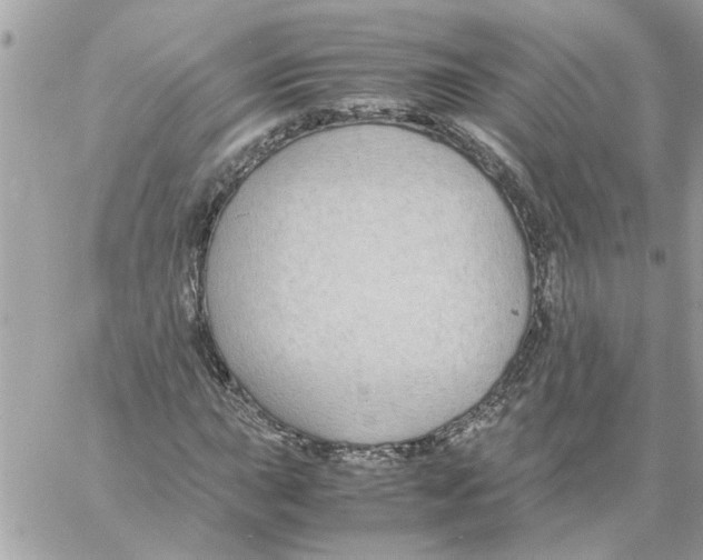 X0000058131015200510212040