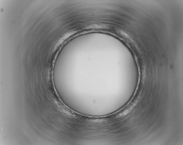 X0000058131017200510212040