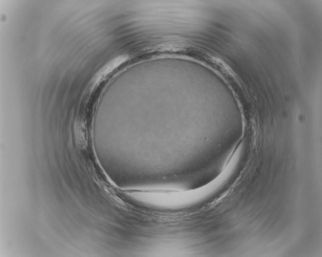 X0000058131018200510212040