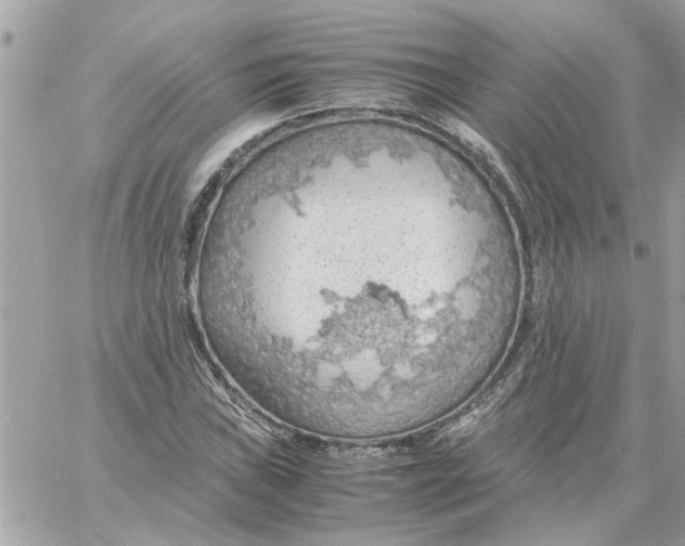 X0000058131019200510212040