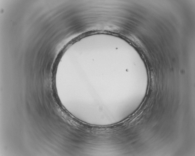 X0000058131020200510212040