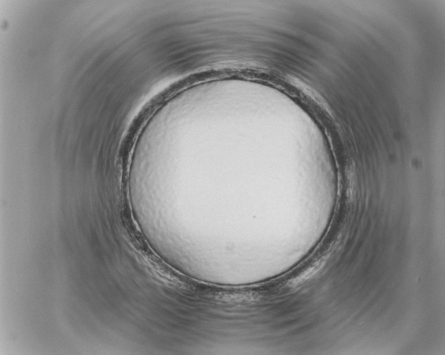 X0000058131021200510212040