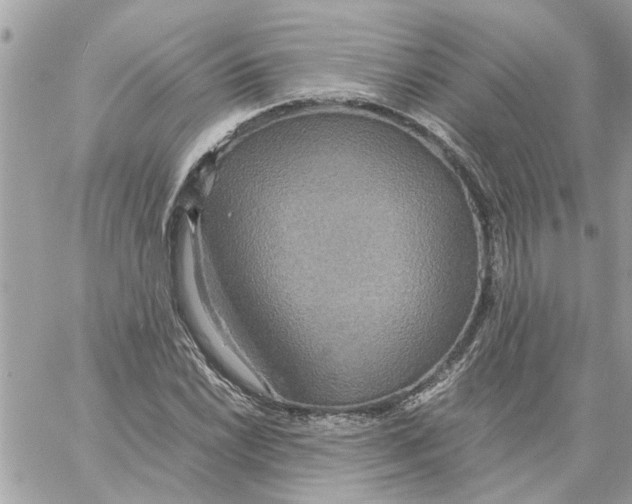 X0000058131022200510212040