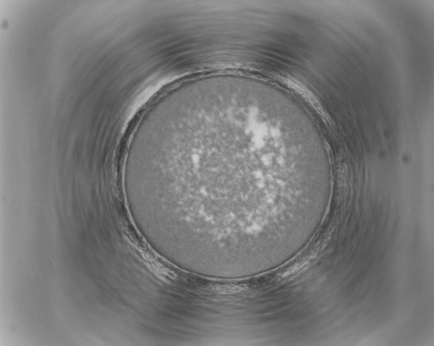 X0000058131023200510212040