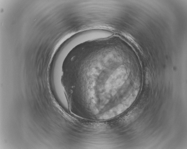 X0000058131024200510212040