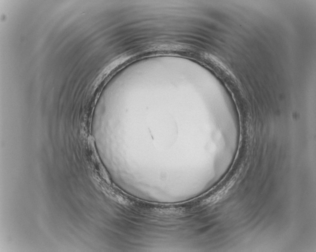 X0000058131025200510212040