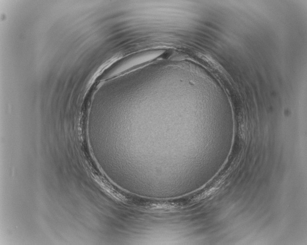 X0000058131026200510212040