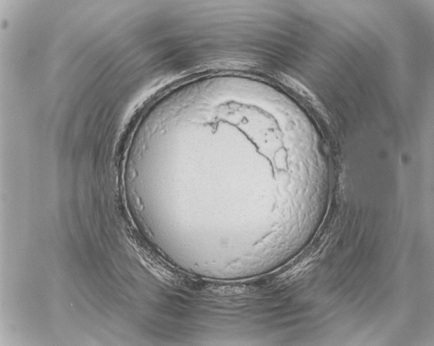 X0000058131027200510212040