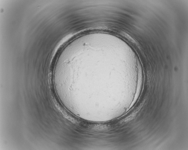 X0000058131029200510212040