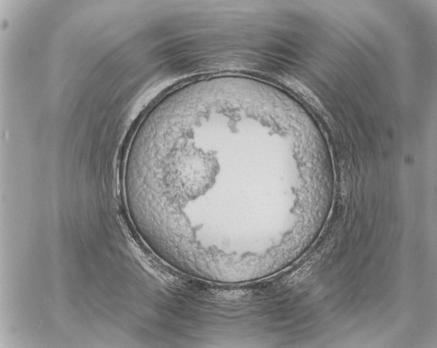 X0000058131031200510212040