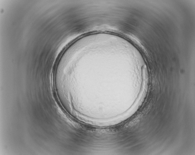 X0000058131032200510212040