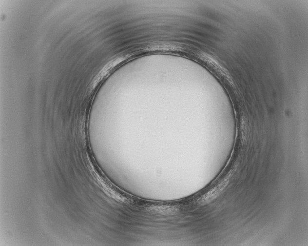 X0000058131033200510212040