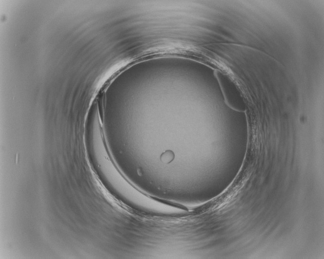 X0000058131034200510212040