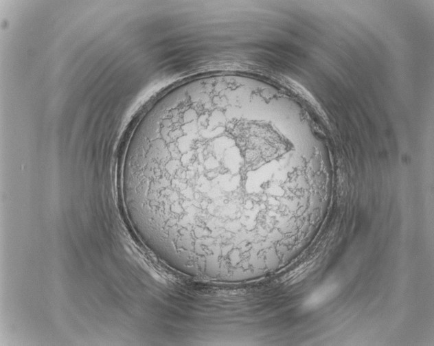 X0000058131035200510212040