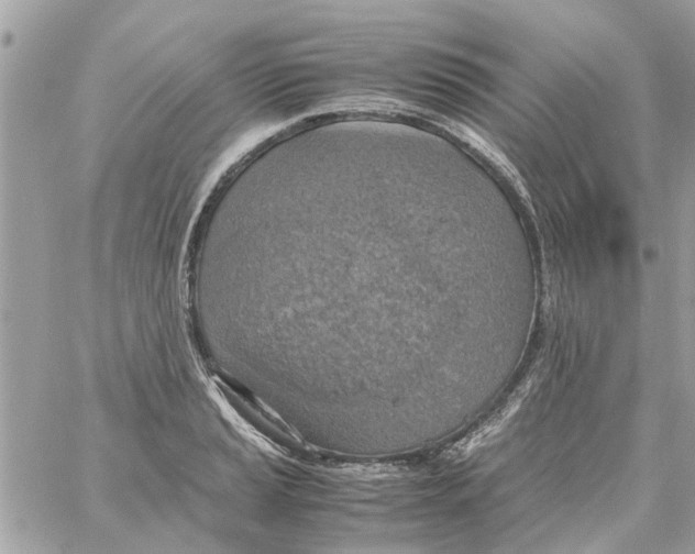 X0000058131037200510212040