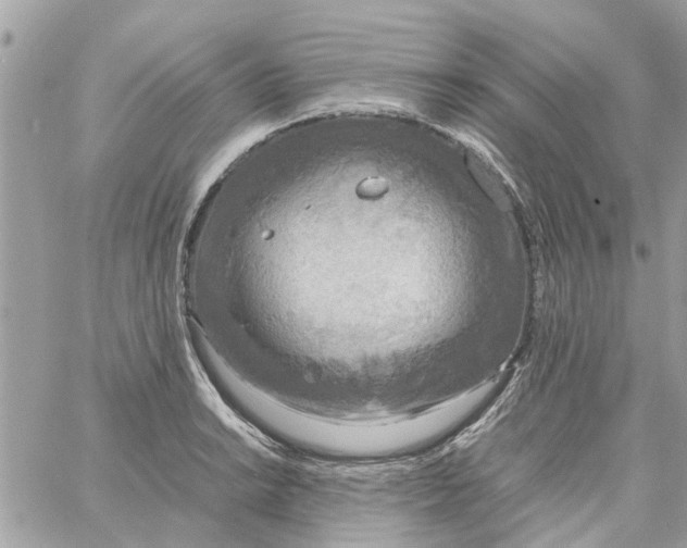 X0000058131038200510212040