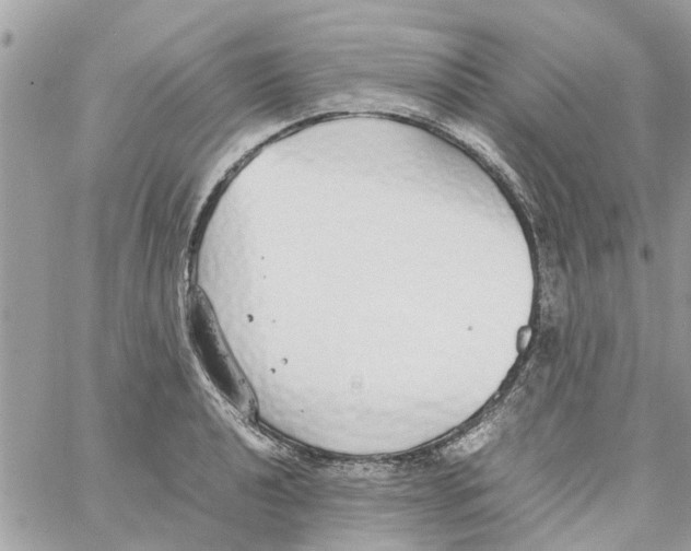 X0000058131040200510212040