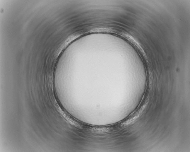 X0000058131041200510212041