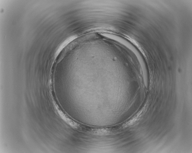 X0000058131042200510212041