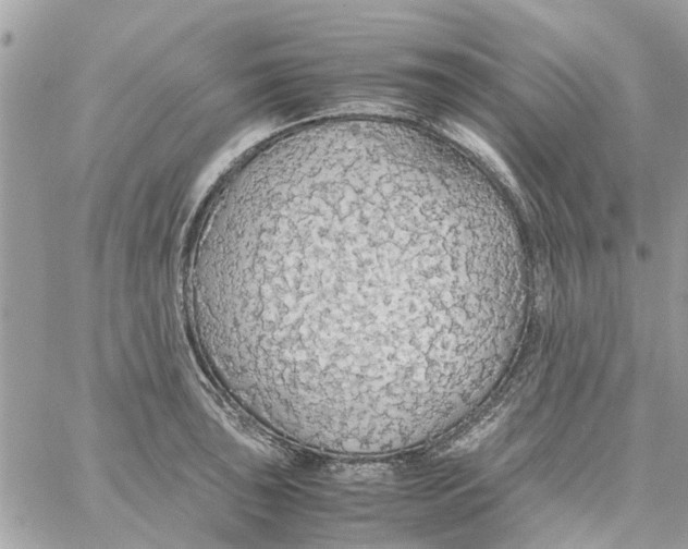 X0000058131043200510212041