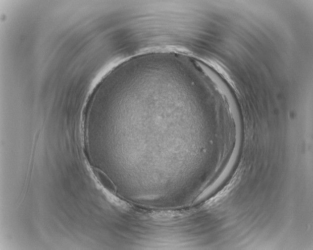 X0000058131046200510212041