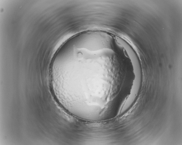 X0000058131048200510212041