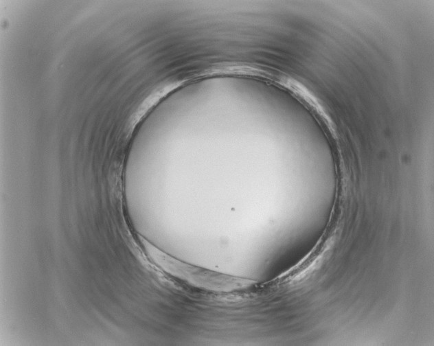 X0000058131049200510212041