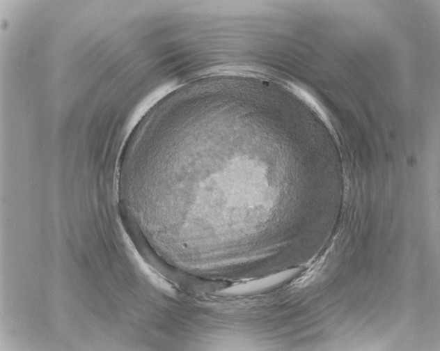 X0000058131050200510212041