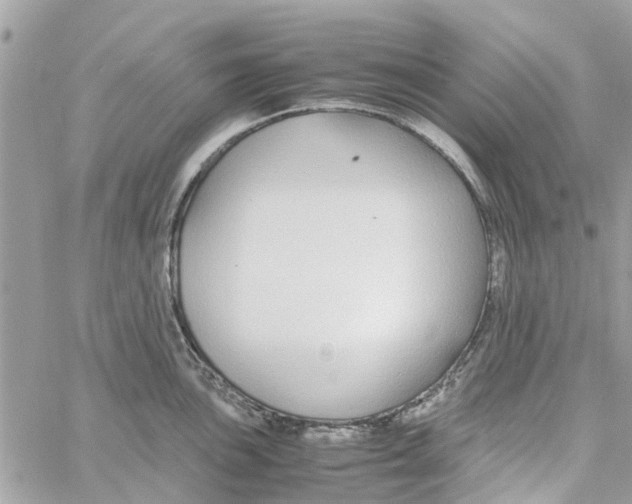 X0000058131051200510212041