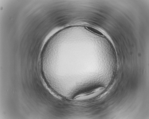 X0000058131053200510212041