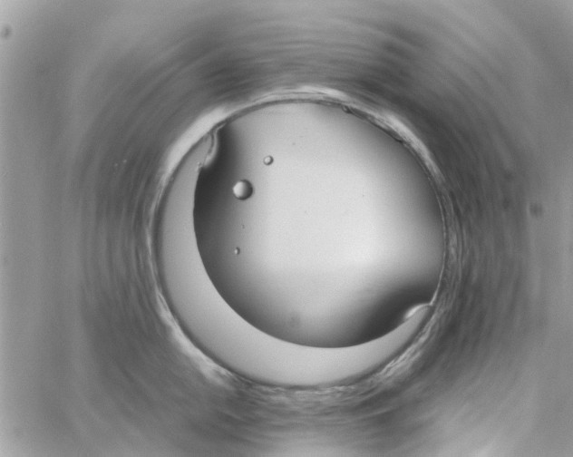 X0000058131054200510212041