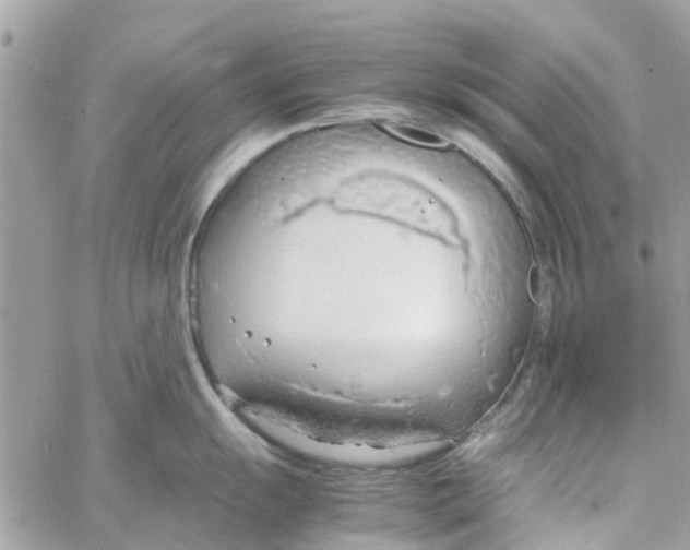 X0000058131055200510212041