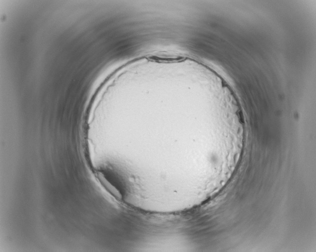 X0000058131056200510212041