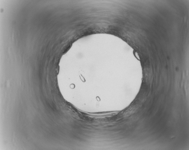 X0000058131057200510212040