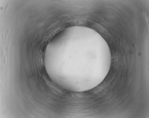 X0000058131058200510212040