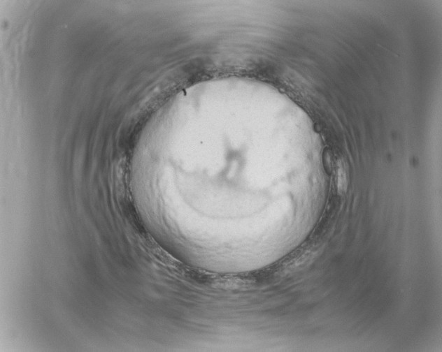 X0000058131059200510212040