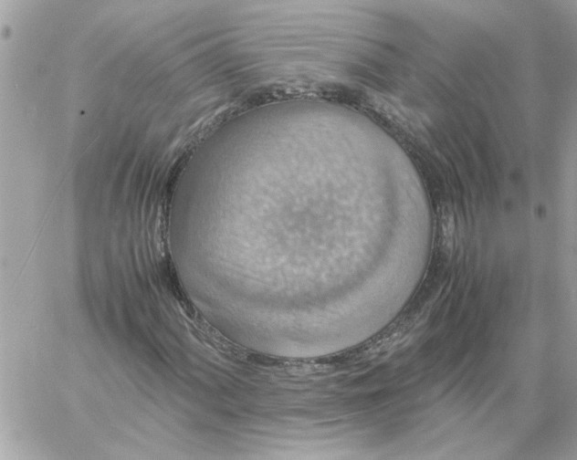 X0000058131060200510212040