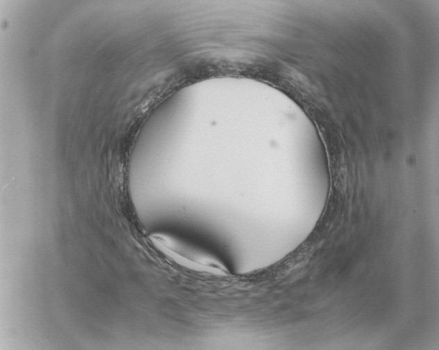 X0000058131061200510212040