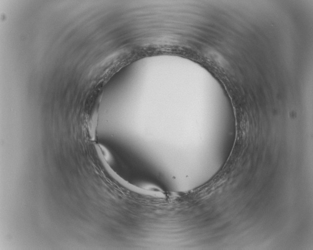 X0000058131062200510212040