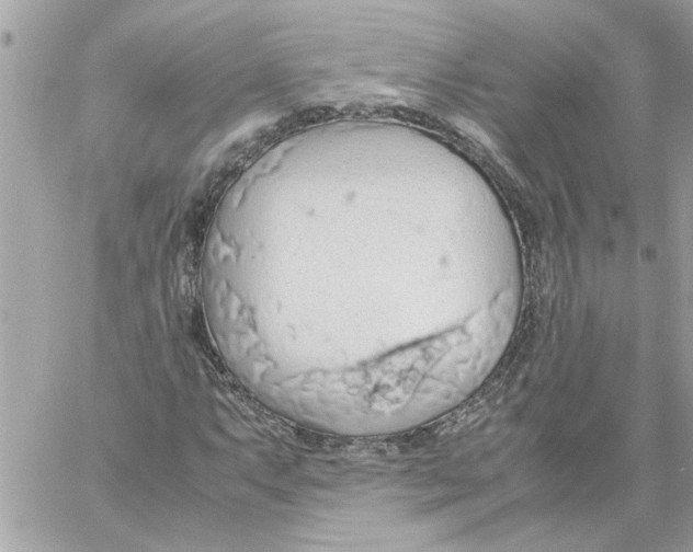 X0000058131063200510212040