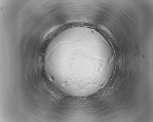 X0000058131064200510212040