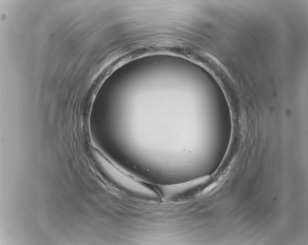 X0000058131065200510212040