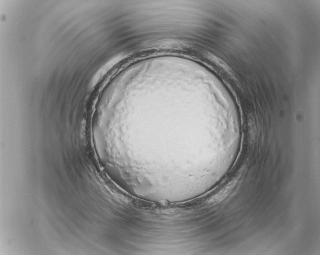 X0000058131066200510212040