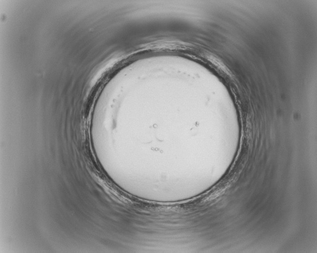 X0000058131067200510212040